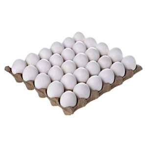 Watson Fresh 30 White Egg