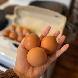 Watson Fresh 3 large Egg