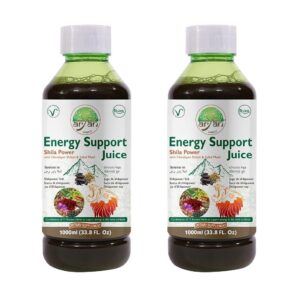 ARYAN Energy Support juice