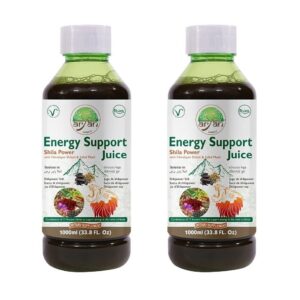 ARYAN Energy Support juice